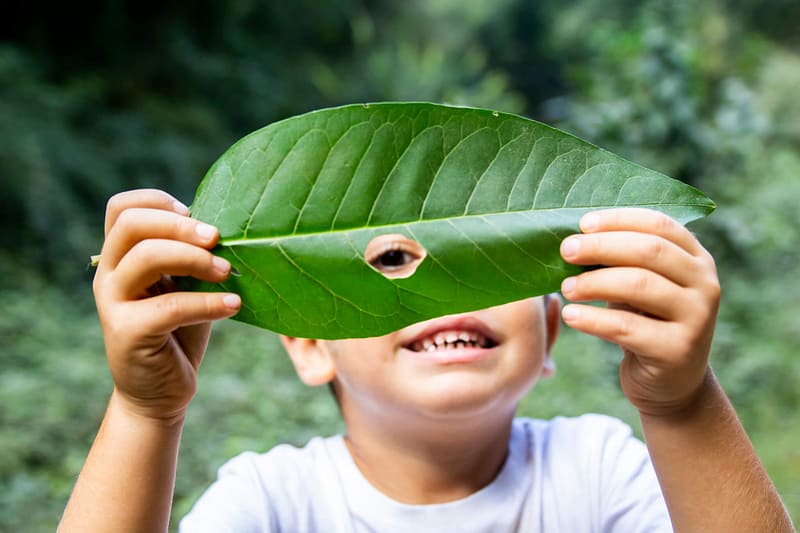 jongen gluurt door blad van plant